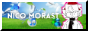 Nico Morast button