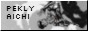 Pekly 88x31 button